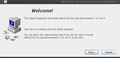 Instalar SAP GUI o SAP Logon en Linux