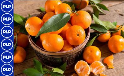 EN MAYO EMPIEZA PRIMERAS EXPORTACIONES DE MANDARINA A JAPÓN...