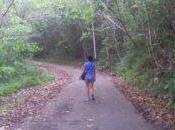 Cerro Copey- Isla Margarita- Venezuela