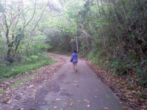 Cerro El Copey- Isla de Margarita- Venezuela