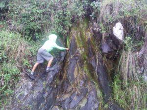 Cerro El Copey- Isla de Margarita- Venezuela