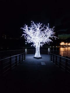 Te regalo este árbol de luz