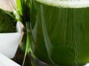 Tiendas Naturistas Pereira Direcciones teléfonos