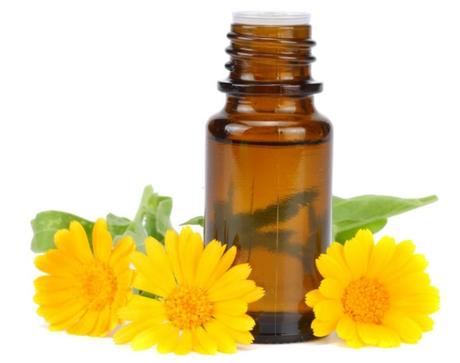 Aceite esencial de caléndula, usos, propiedades y contraindicaciones aceite esencial de calendula