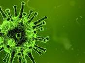 descubrimiento virus gigantes