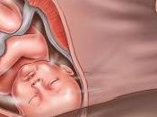 semanas embarazo Noveno