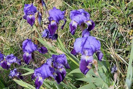 Camino Primitivo: de Campiello a Porciles, San Roque.