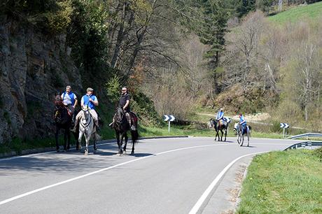 Camino Primitivo: de Campiello a Porciles, San Roque.