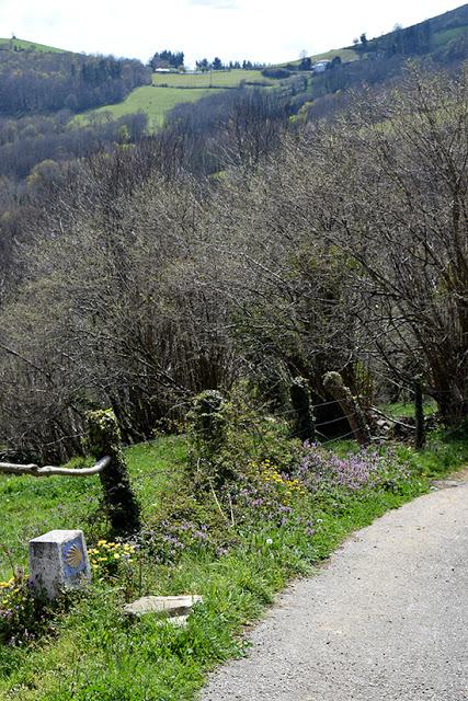 Camino Primitivo: de Campiello a Porciles, San Roque.