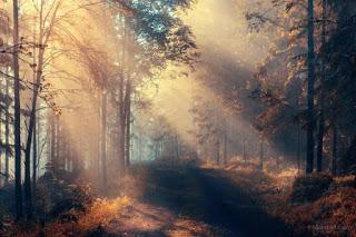 NO HAGAS NADA POR COMPROMISO, hazlo todo por amor NO HAGAS NADA POR COMPROMISO, hazlo todo por amor