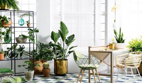 Las plantas inspiran una sensación vital y armonizan cual... Las plantas inspiran una sensación vital y armonizan cual...