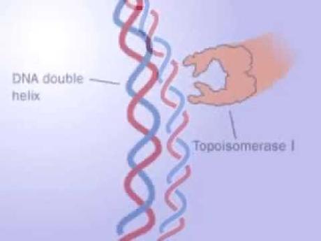 La topología del ADN Imagen de previsualización de YouTube