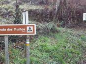 Ruta Medio Miño