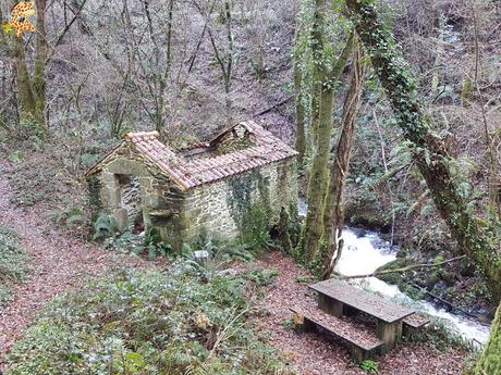 Ruta del Río Medio - Miño