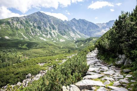 ▷ ¿Debería usted visitar los Altos Tatras de Polonia o Eslovaquia? Hiking-Trail-Polish-Tatras.jpg.optimal ▷ ¿Debería usted visitar los Altos Tatras de Polonia o Eslovaquia?