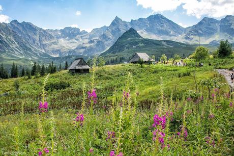 ▷ ¿Debería usted visitar los Altos Tatras de Polonia o Eslovaquia? Best-Zakopane-Hike.jpg.optimal ▷ ¿Debería usted visitar los Altos Tatras de Polonia o Eslovaquia?