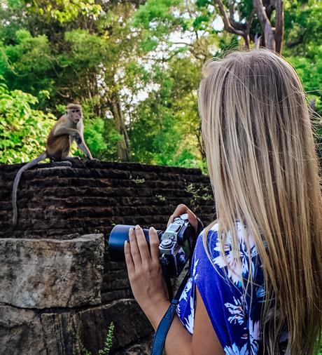 wildlife-4 ▷ Los mejores destinos de vida silvestre en el mundo