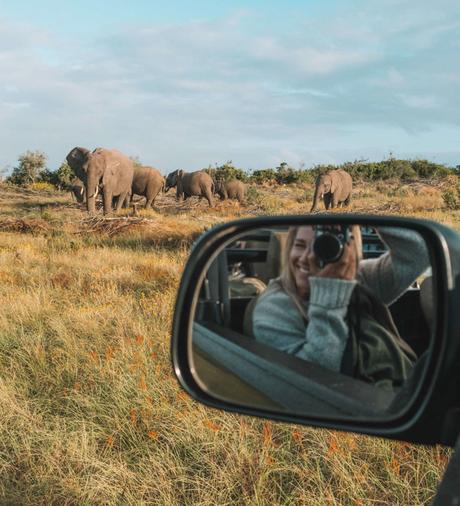 tba-3 ▷ Los mejores destinos de vida silvestre en el mundo