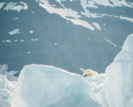 tonga-2 ▷ Los mejores destinos de vida silvestre en el mundo
