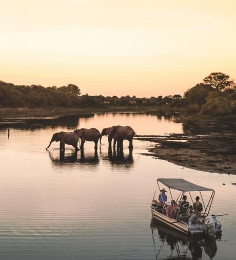 bots-3 ▷ Los mejores destinos de vida silvestre en el mundo