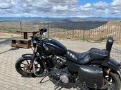 Ponerte delante Vida