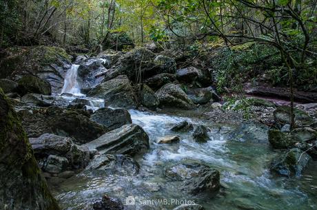 Agua de la montaña