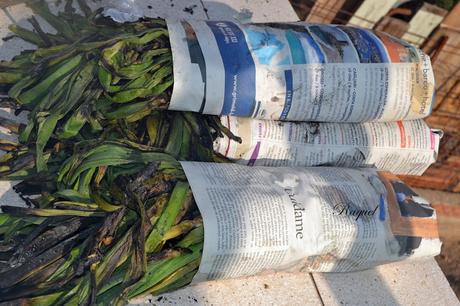 Salsa romesco ( especial para calçots ) en thermomix