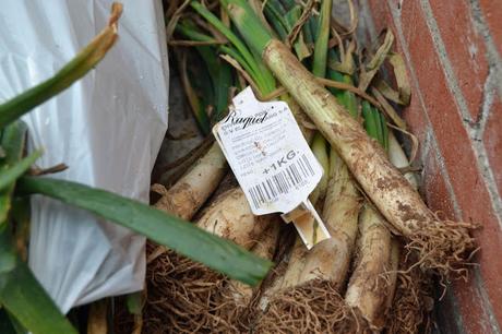 Salsa romesco ( especial para calçots ) en thermomix