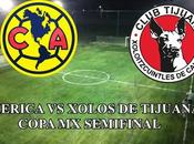 America Xolos tijuana VIVO COPA SEMIFINAL