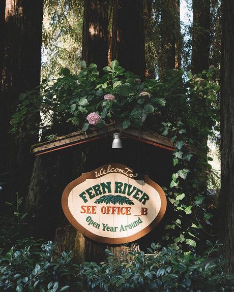 fern river boda en un bosque de sequoias california