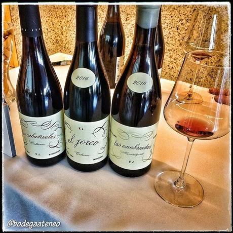 El Alma de los Vinos Unicos 2019 El Alma de los Vinos Unicos 2019