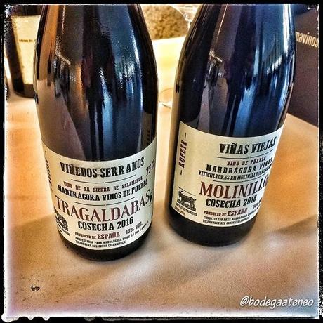 El Alma de los Vinos Unicos 2019 El Alma de los Vinos Unicos 2019