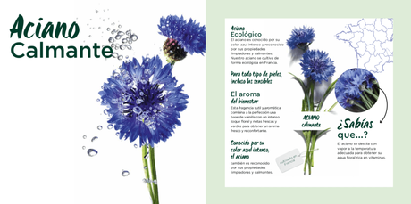 Nueva gama cosmética: Garnier Bio