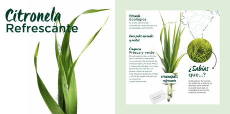 Nueva gama cosmética: Garnier Bio