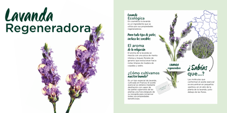 Nueva gama cosmética: Garnier Bio