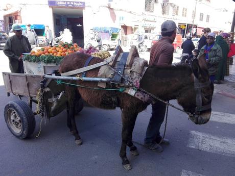 BLOGSSIPGIRL HA ESTADO ALLÍ: 4 DÍAS EN MARRUECOS