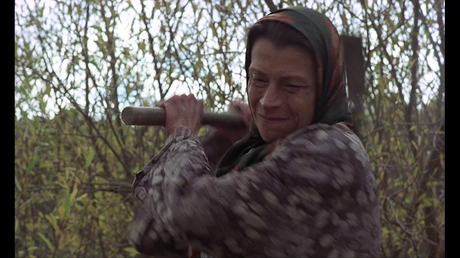 FURTIVOS (José Luis Borau) 1975