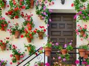 Ciudades españolas Patrimonio Humanidad: conócelas viaja