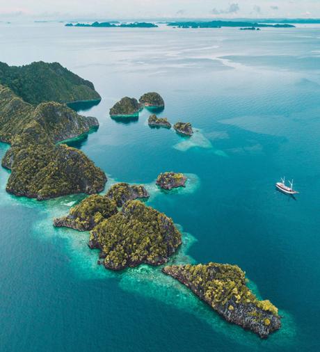 bali-4 ▷ ¿Por qué me comprometo a convertirme en un volante de carbono neutral?