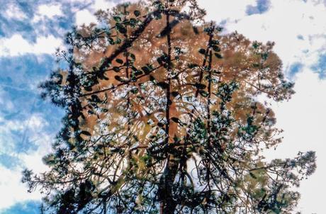 Contra los Fotógrafos(as)