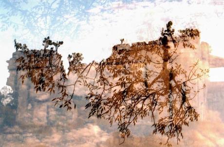 Contra los Fotógrafos(as)