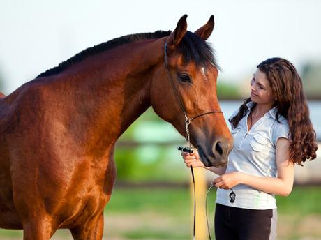 ¿Qué es la equinoterapia? ¿Qué es la equinoterapia?