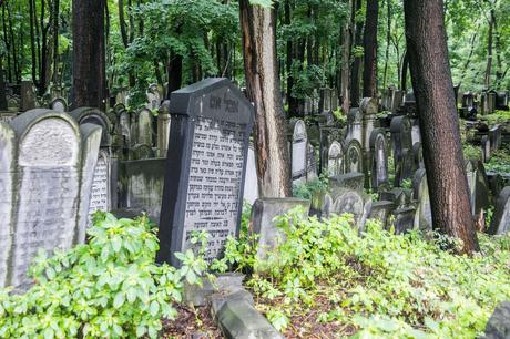 Warsaw-Jewish-Cemetery.jpg.optimal ▷ 2 días en Varsovia: el itinerario perfecto para tu primera visita