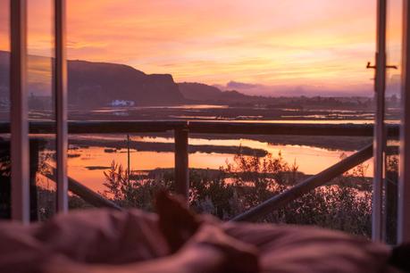 DSCF6223 ▷ Alojarse en Emily Moon River Lodge en Plettenberg Bay