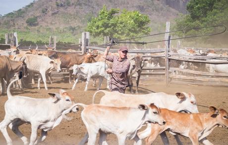 ▷ ¿Qué es realmente como viajar a Guyana? DSCF7540 ▷ ¿Qué es realmente como viajar a Guyana?