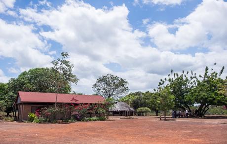 ▷ ¿Qué es realmente como viajar a Guyana? DSCF7366 ▷ ¿Qué es realmente como viajar a Guyana?