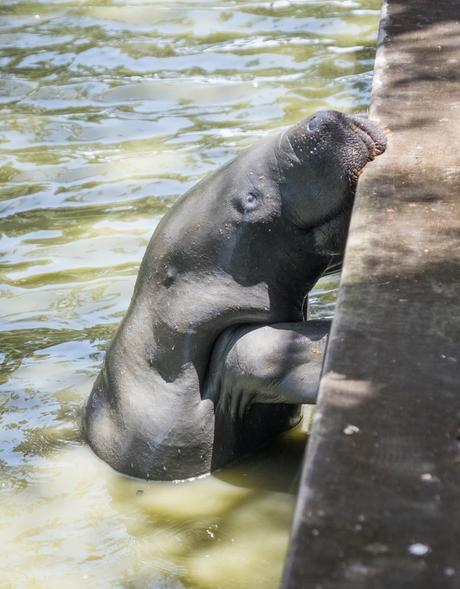 ▷ ¿Qué es realmente como viajar a Guyana? DSCF7229 ▷ ¿Qué es realmente como viajar a Guyana?