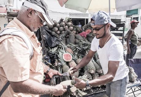 ▷ ¿Qué es realmente como viajar a Guyana? DSCF7171-1 ▷ ¿Qué es realmente como viajar a Guyana?