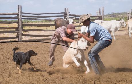 ▷ ¿Qué es realmente como viajar a Guyana? DSCF7546 ▷ ¿Qué es realmente como viajar a Guyana?