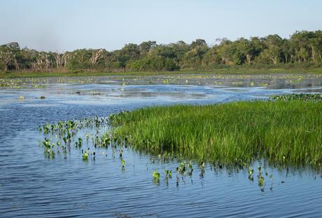 ▷ ¿Qué es realmente como viajar a Guyana? DSCF7448 ▷ ¿Qué es realmente como viajar a Guyana?